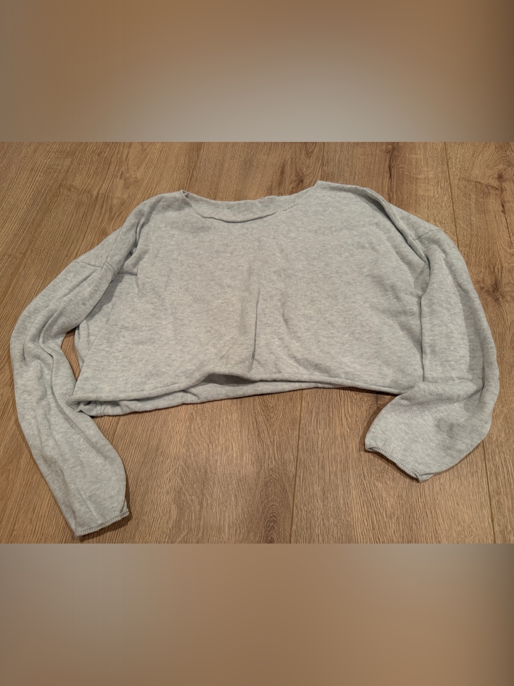 John Galt Light Gray Cropped Sweatshirt - OS